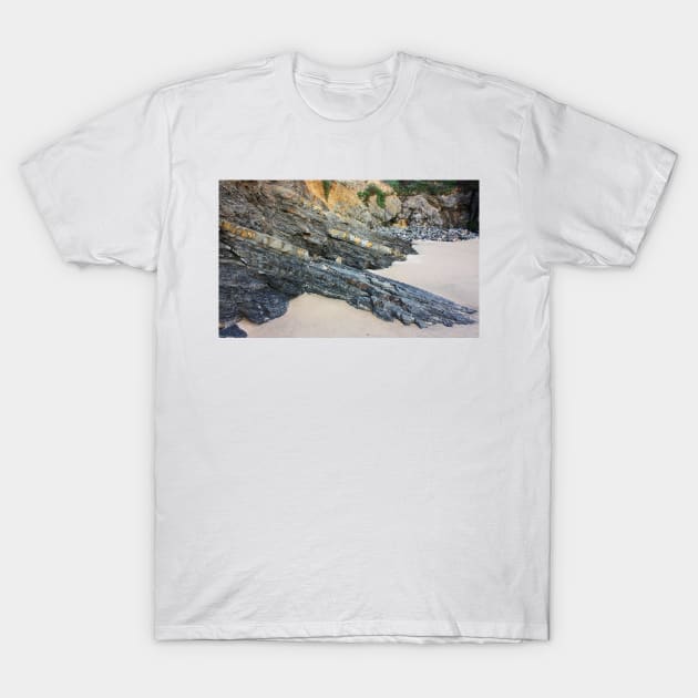 Crawling Slowly.. Outcrop at the Panther Beach, Highway 1, California T-Shirt by IgorPozdnyakov